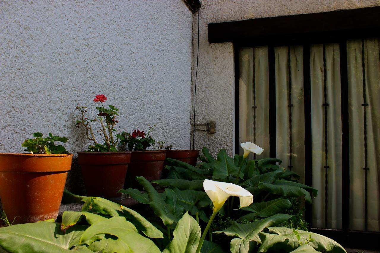 Casa Ayvar Panzió Mexikóváros Kültér fotó